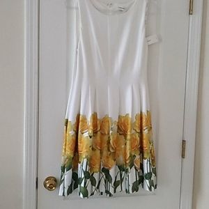 Calvin Klein Size 12 Classic Dress